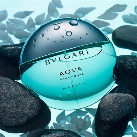 bvlgari aqva marine fragrantica